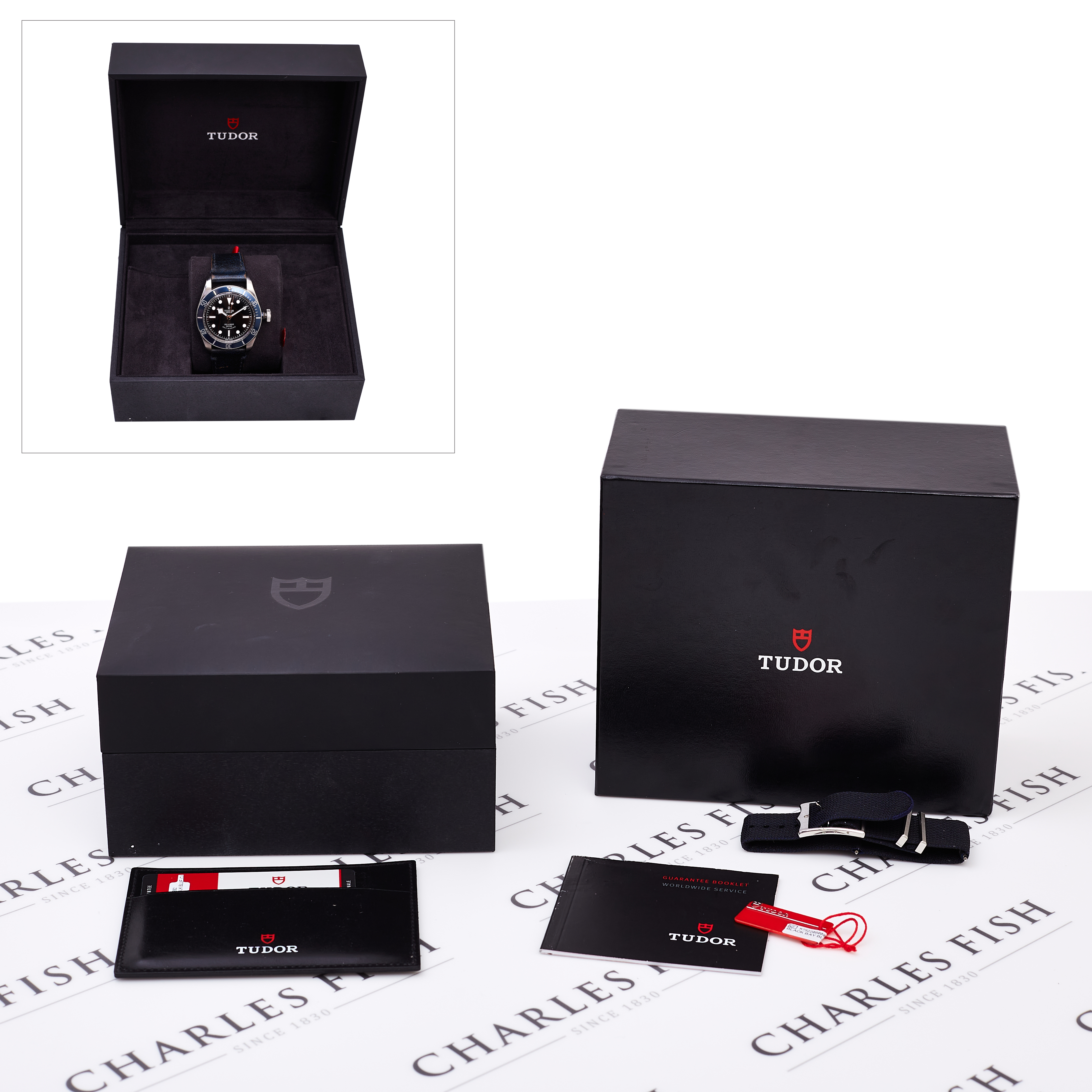 Tudor Heritage Black Bay 79220B Thumbnail 4