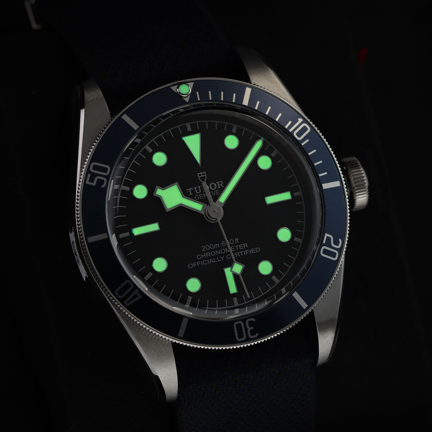 Tudor Heritage Black Bay 79220B Thumbnail 6