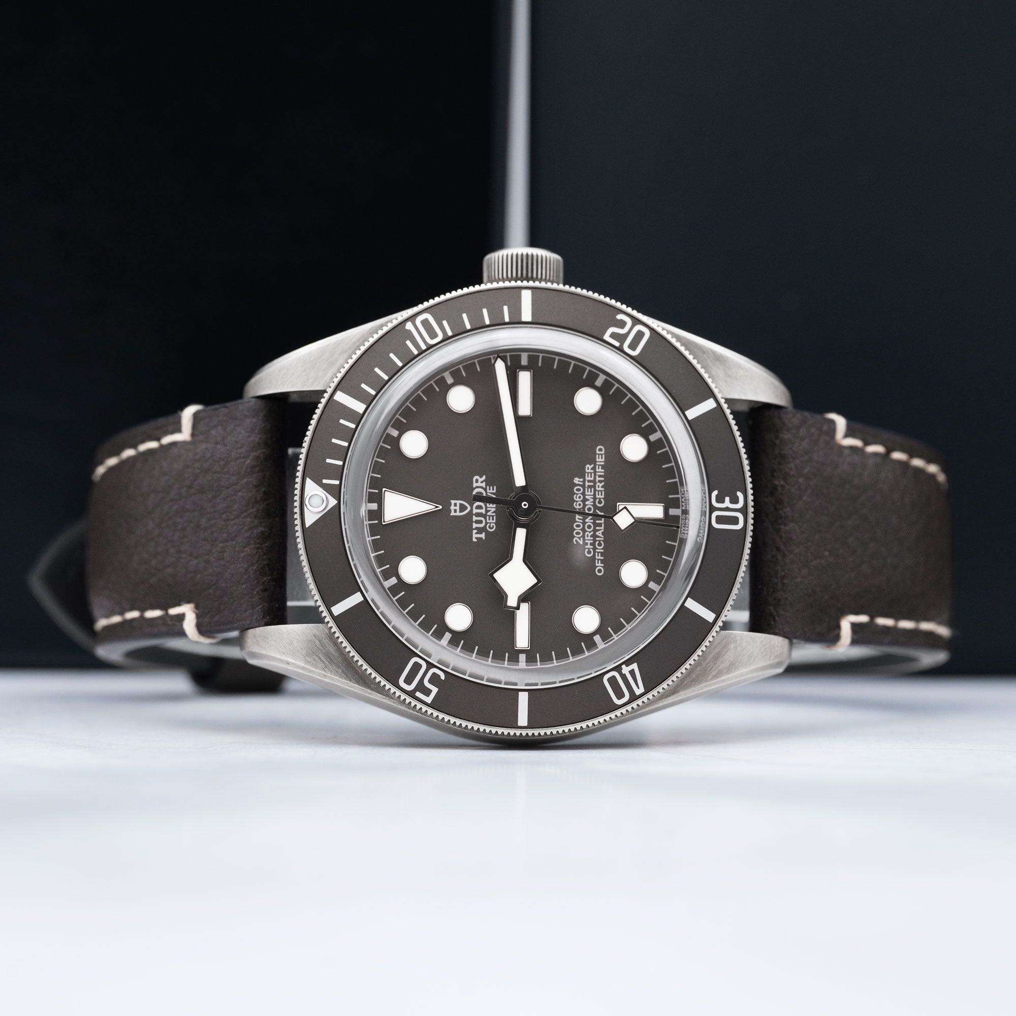 Tudor Black Bay 58 M79010SG-0001 Thumbnail 2