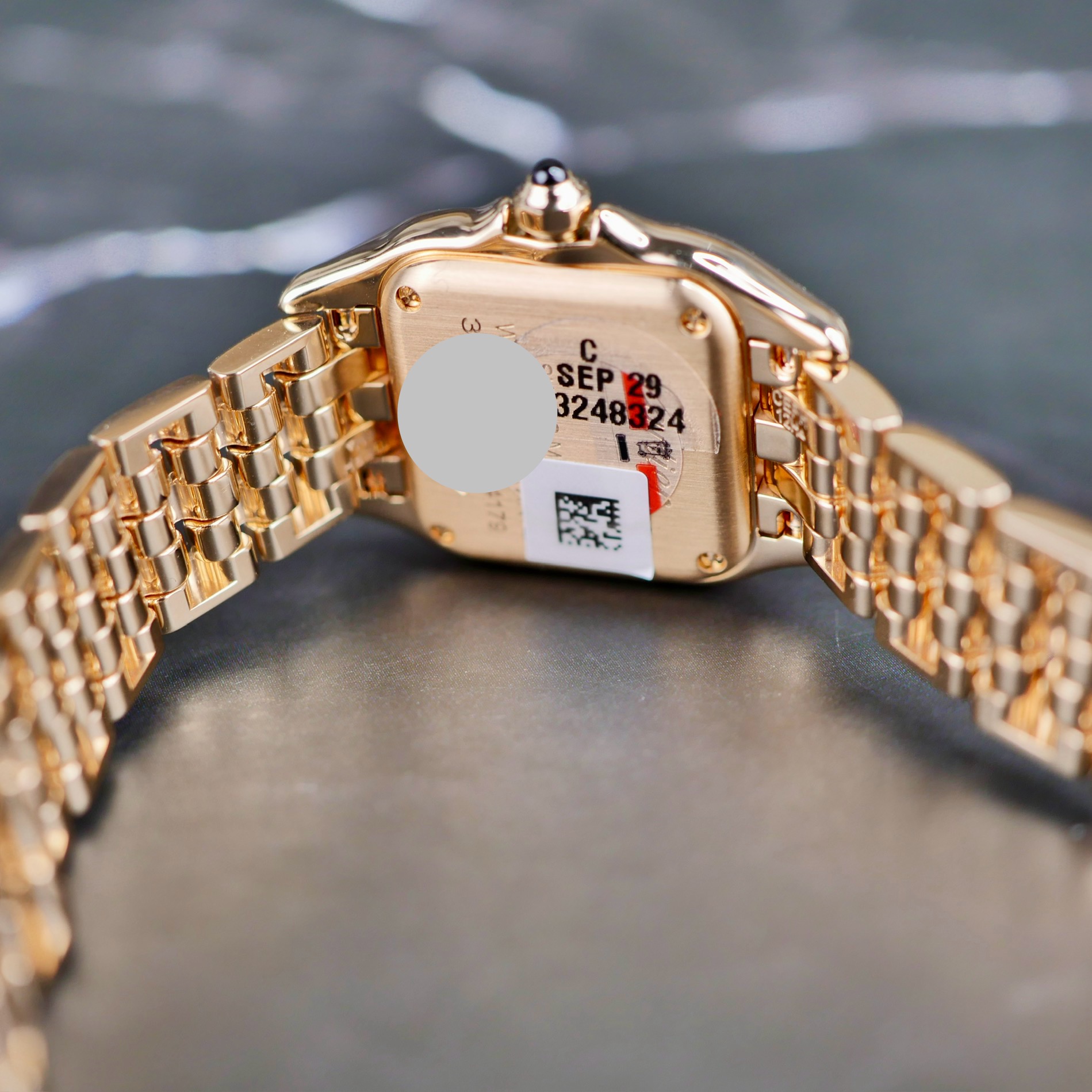 Cartier Panthere De Cartier WGPN0060 Thumbnail 4