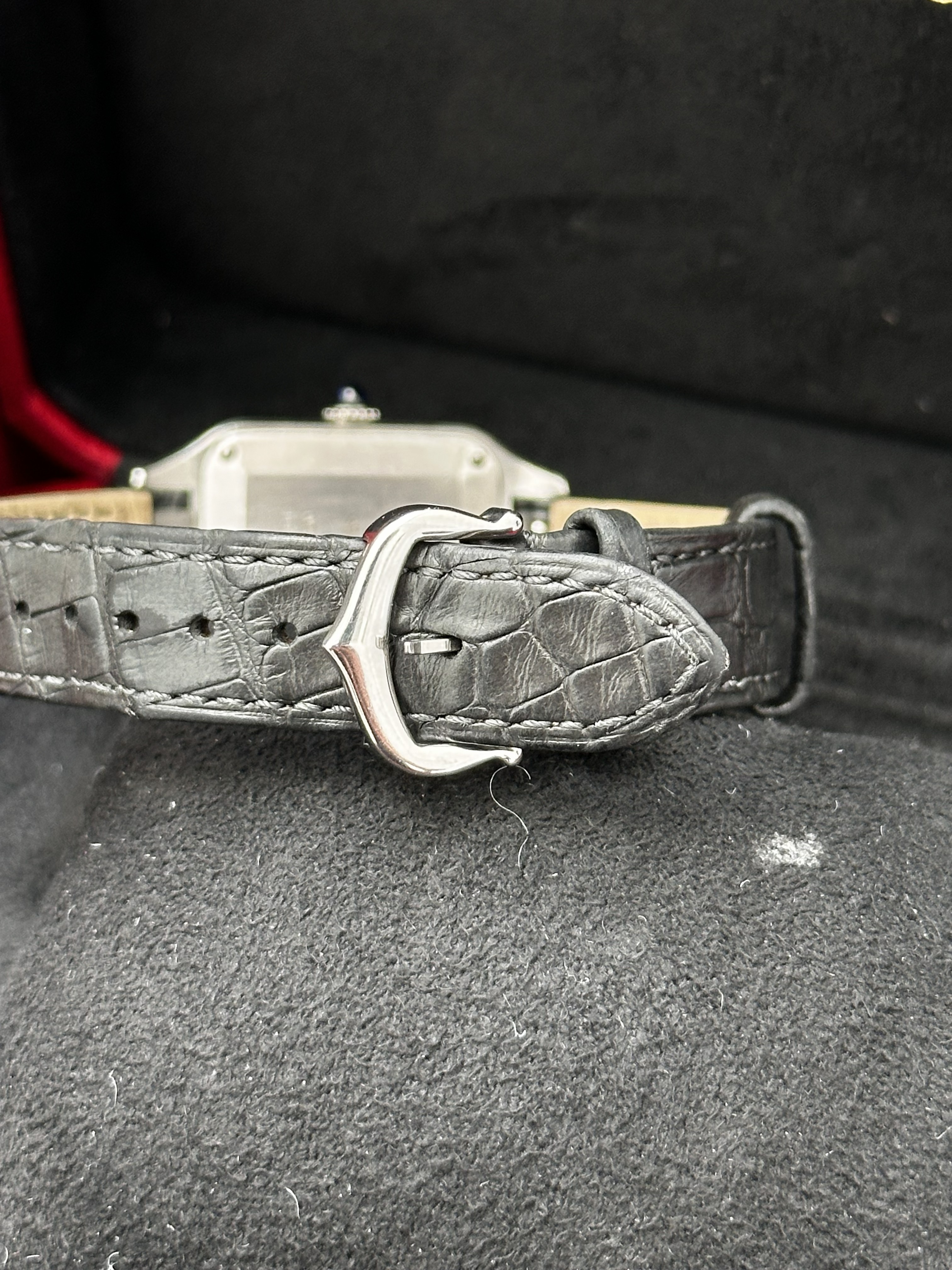Cartier Santos Dumont WSSA0023 Thumbnail 5