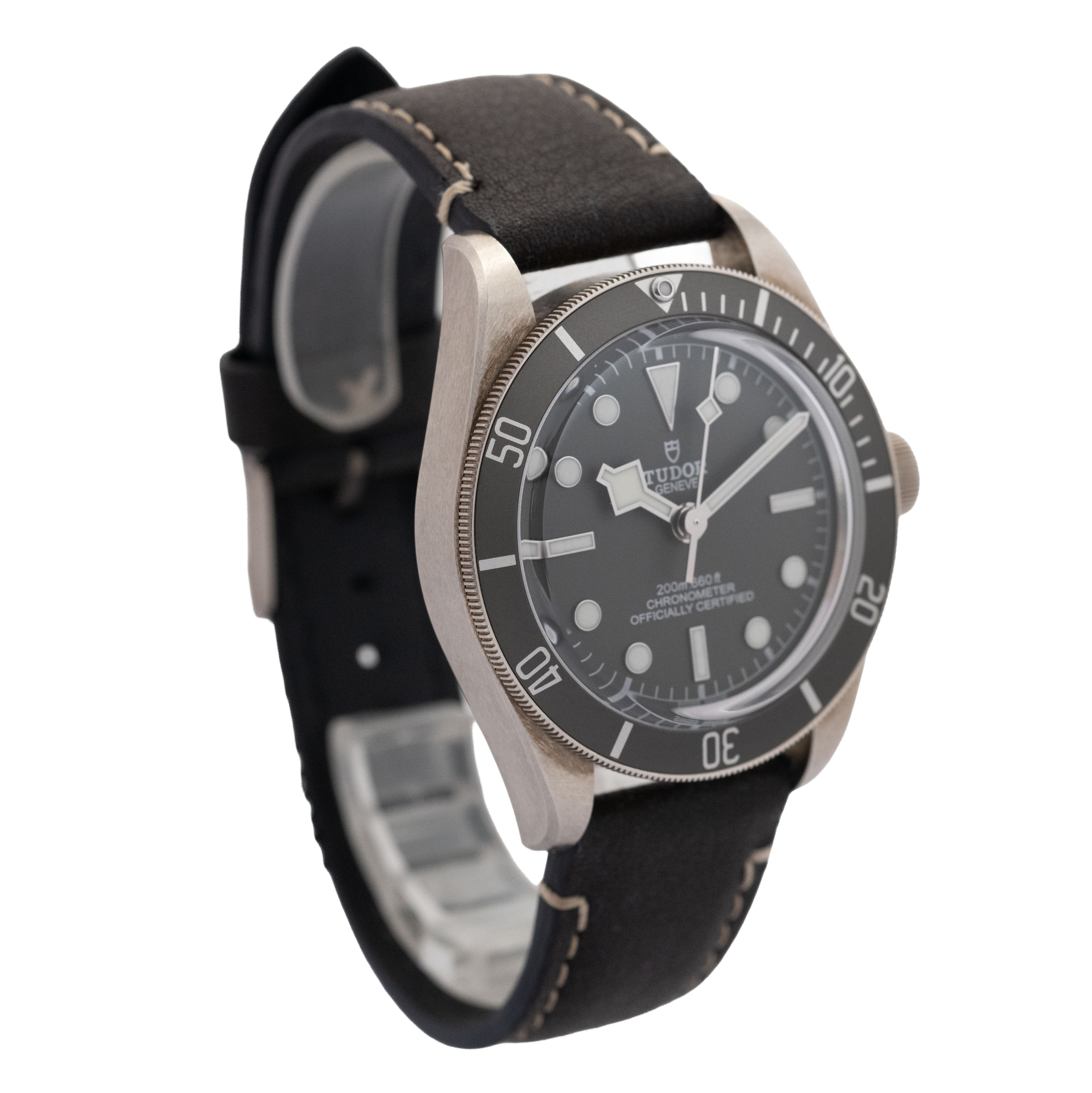 Tudor Black Bay 58 M79010SG-0001 Thumbnail 2