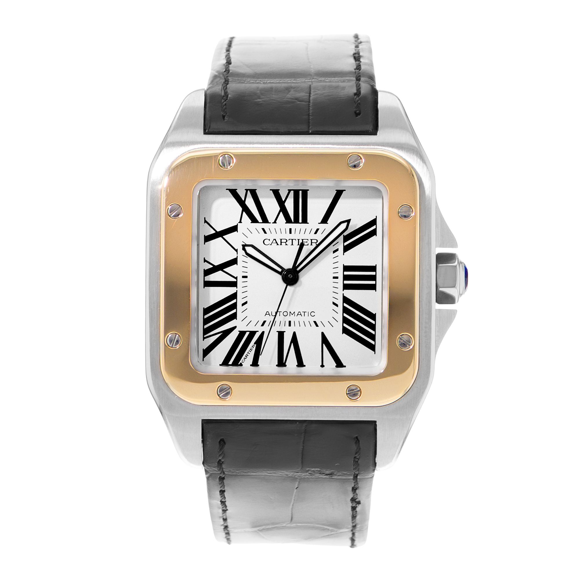 Cartier Santos 100 W20072X7 Thumbnail 2