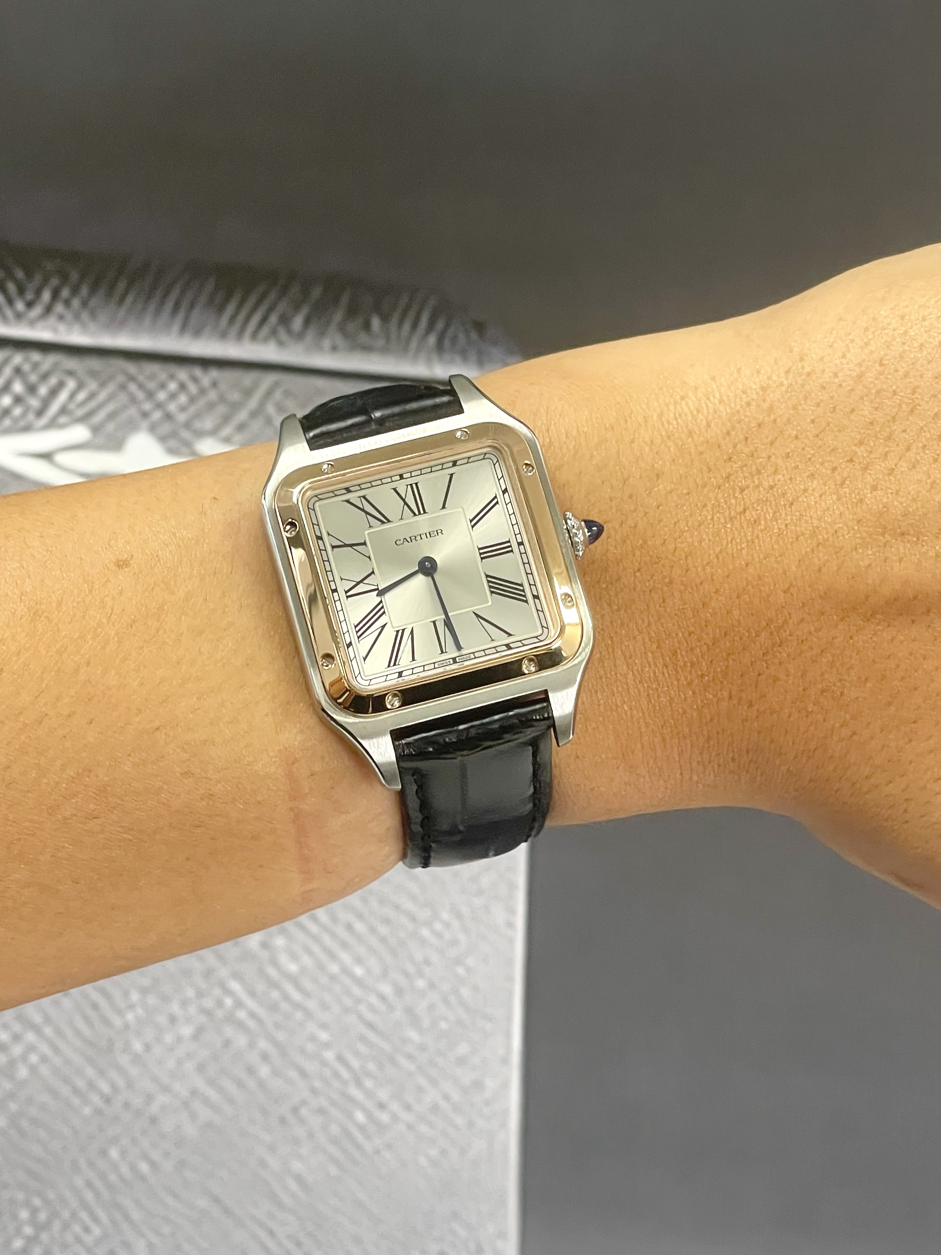 Cartier Santos Dumont W2SA0011 Thumbnail 4