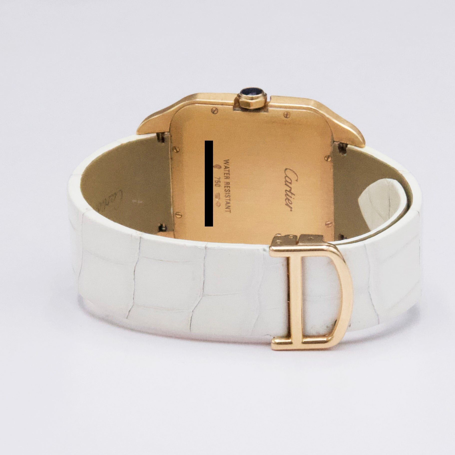 Cartier Santos Dumont W2006951 Thumbnail 5