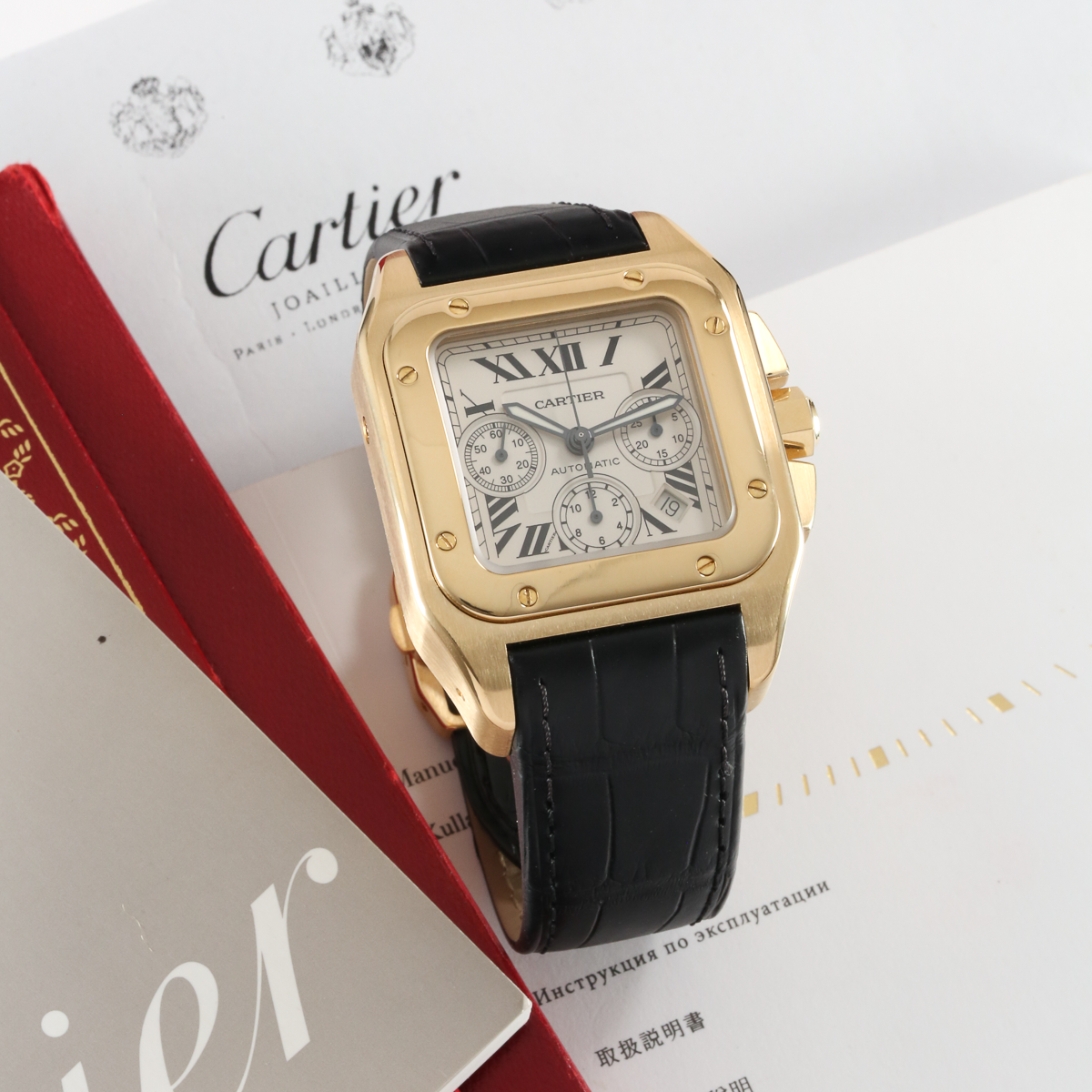 Cartier Santos 100 W20096Y1 Thumbnail 6