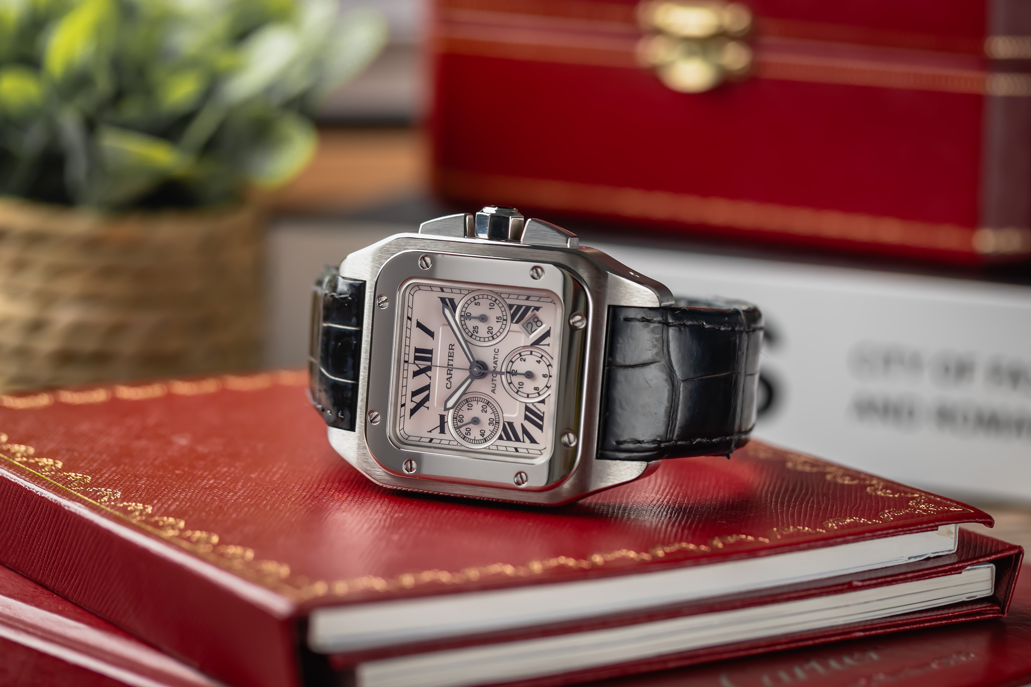 Cartier Santos 100 W20090X8 Thumbnail 6