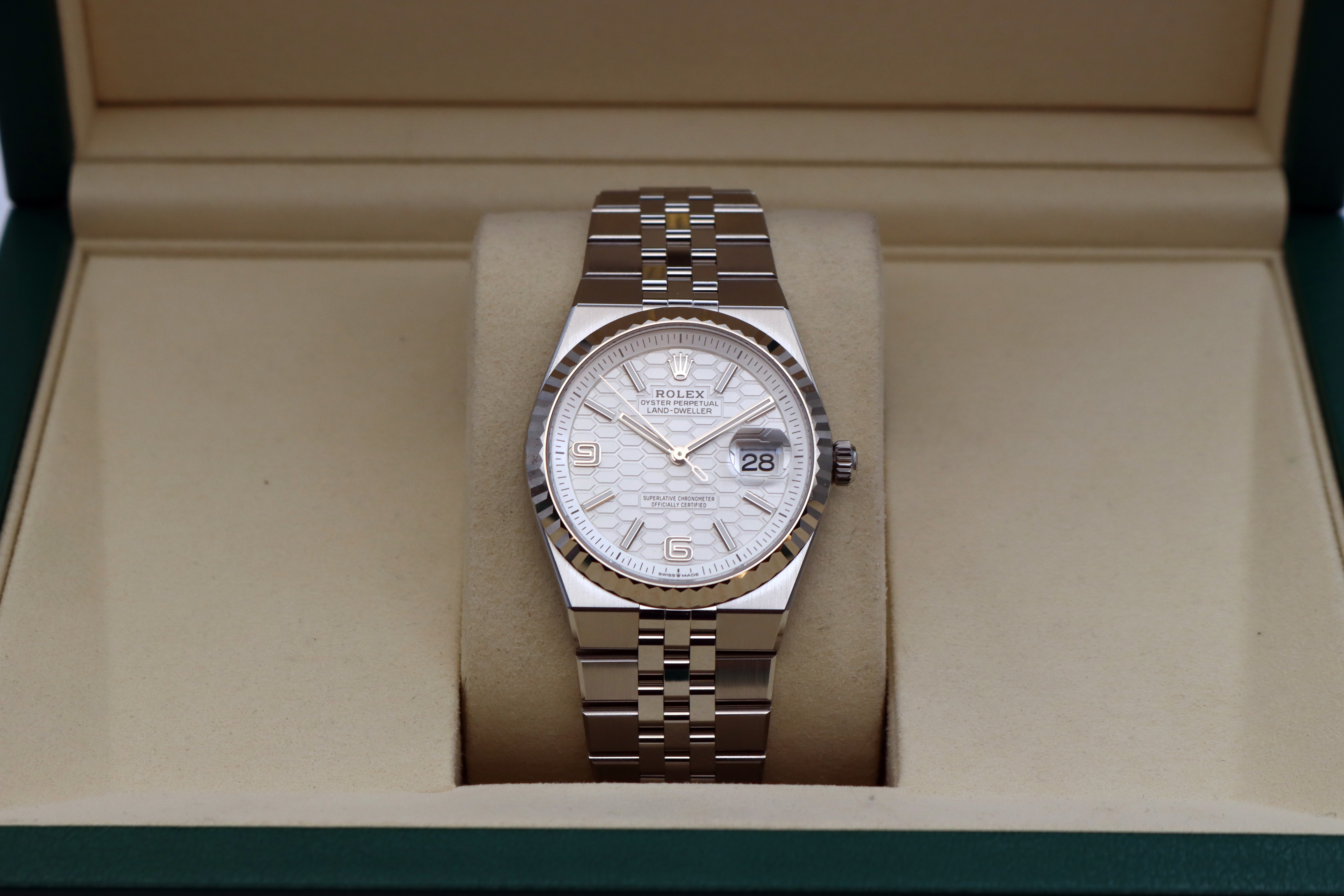 Rolex Land-Dweller 36 127234 Thumbnail 7