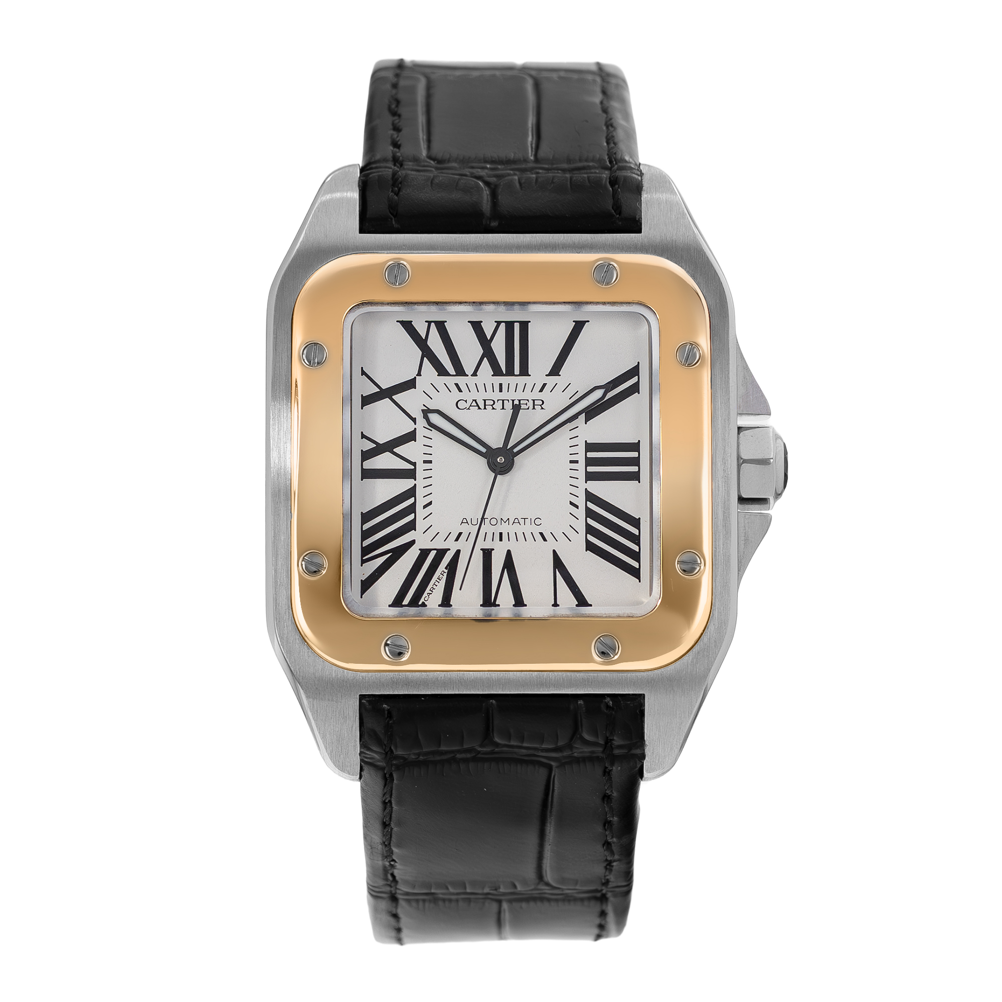 Cartier Santos 100 W20072X7 Thumbnail 2