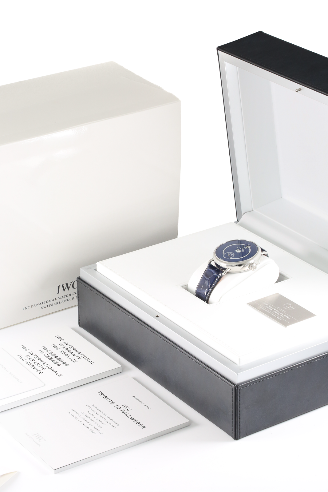 IWC Tribute to Pallweber Edition IW505003 Thumbnail 7