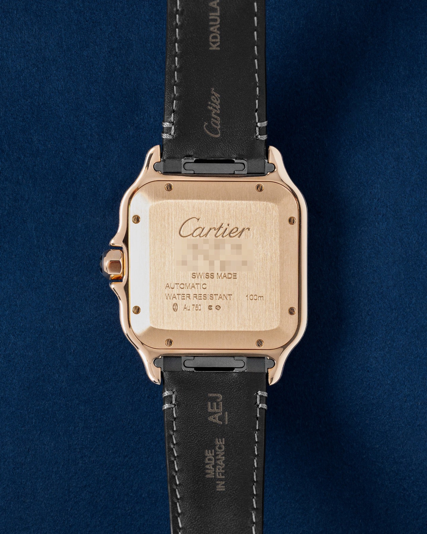 Cartier Santos De Cartier WGSA0019 Thumbnail 2