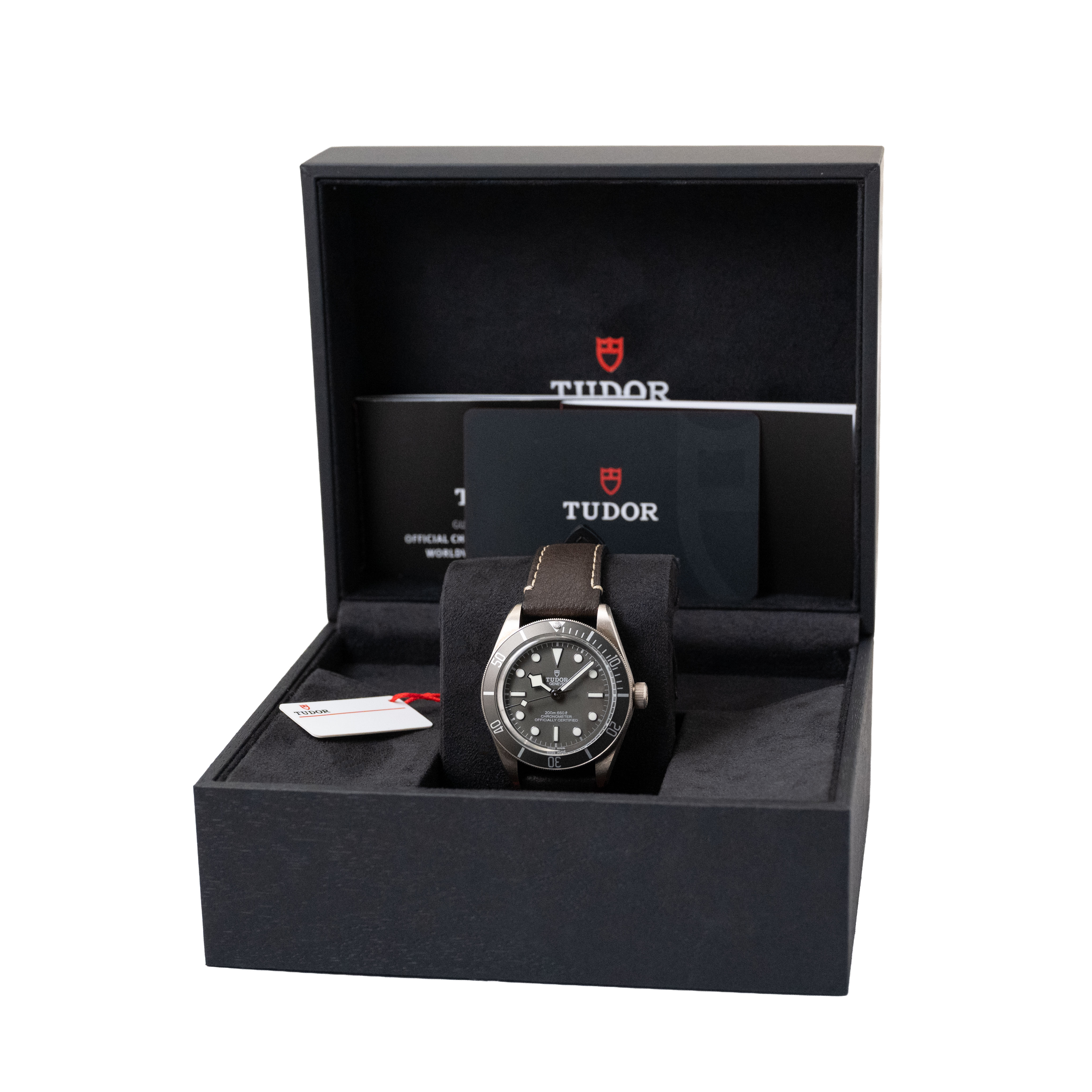 Tudor Black Bay 58 M79010SG-0001 Thumbnail 7