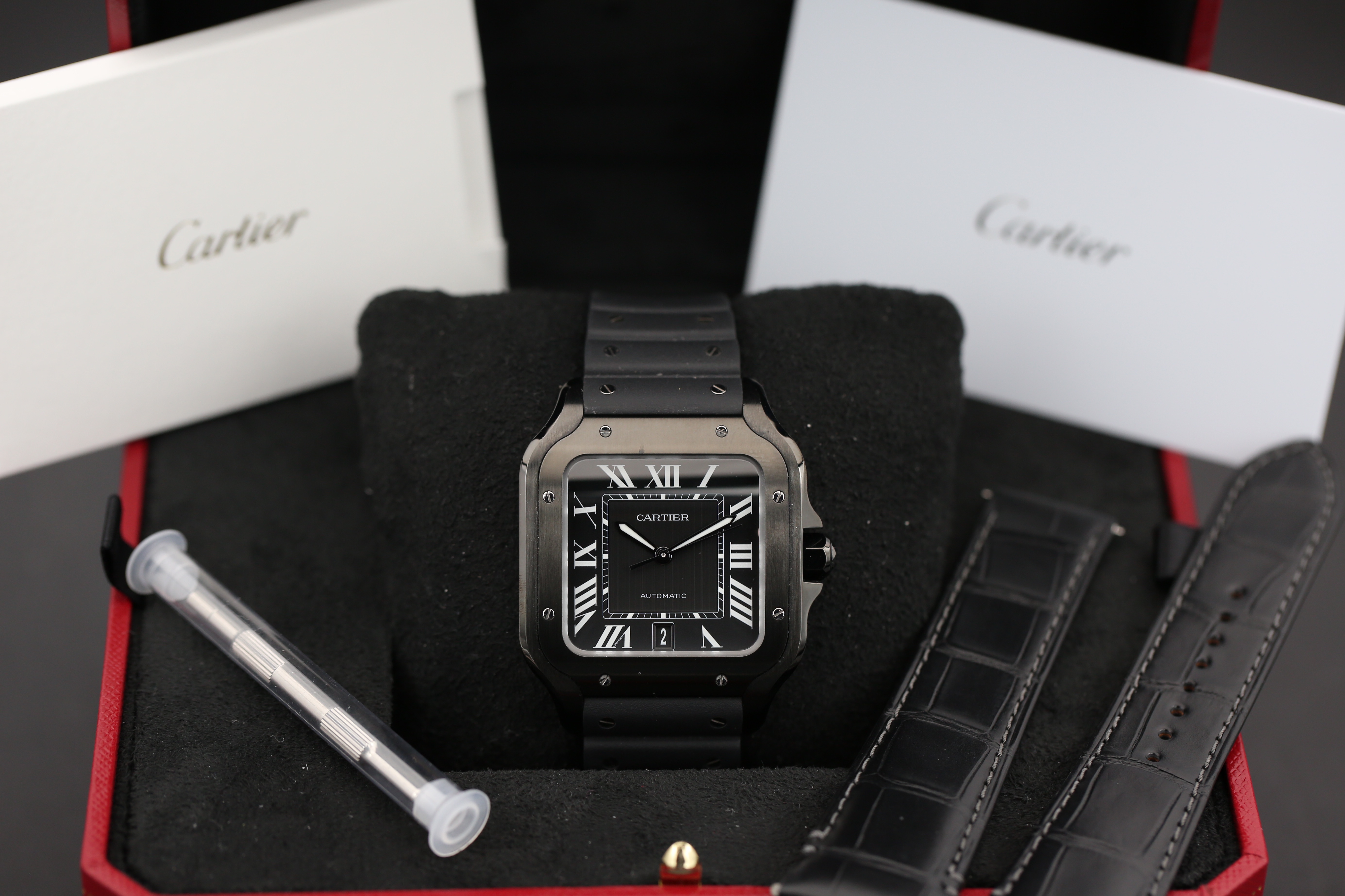 Cartier Santos WSSA0039 Thumbnail 7