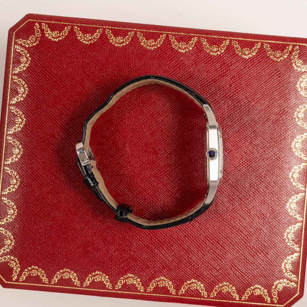 Cartier Santos Dumont WSSA0022 Thumbnail 2