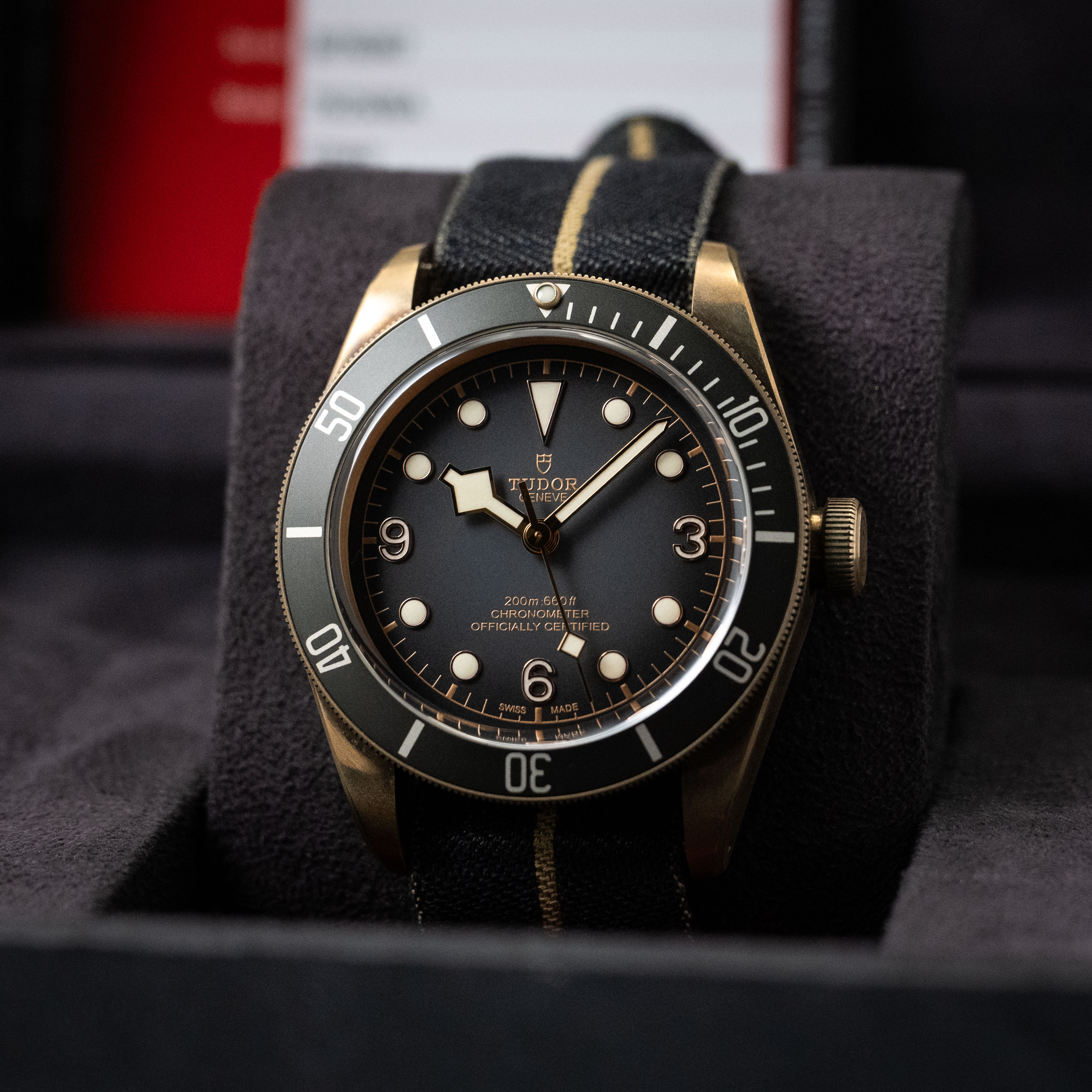 Tudor Black Bay M79250BA-0002 Thumbnail 6