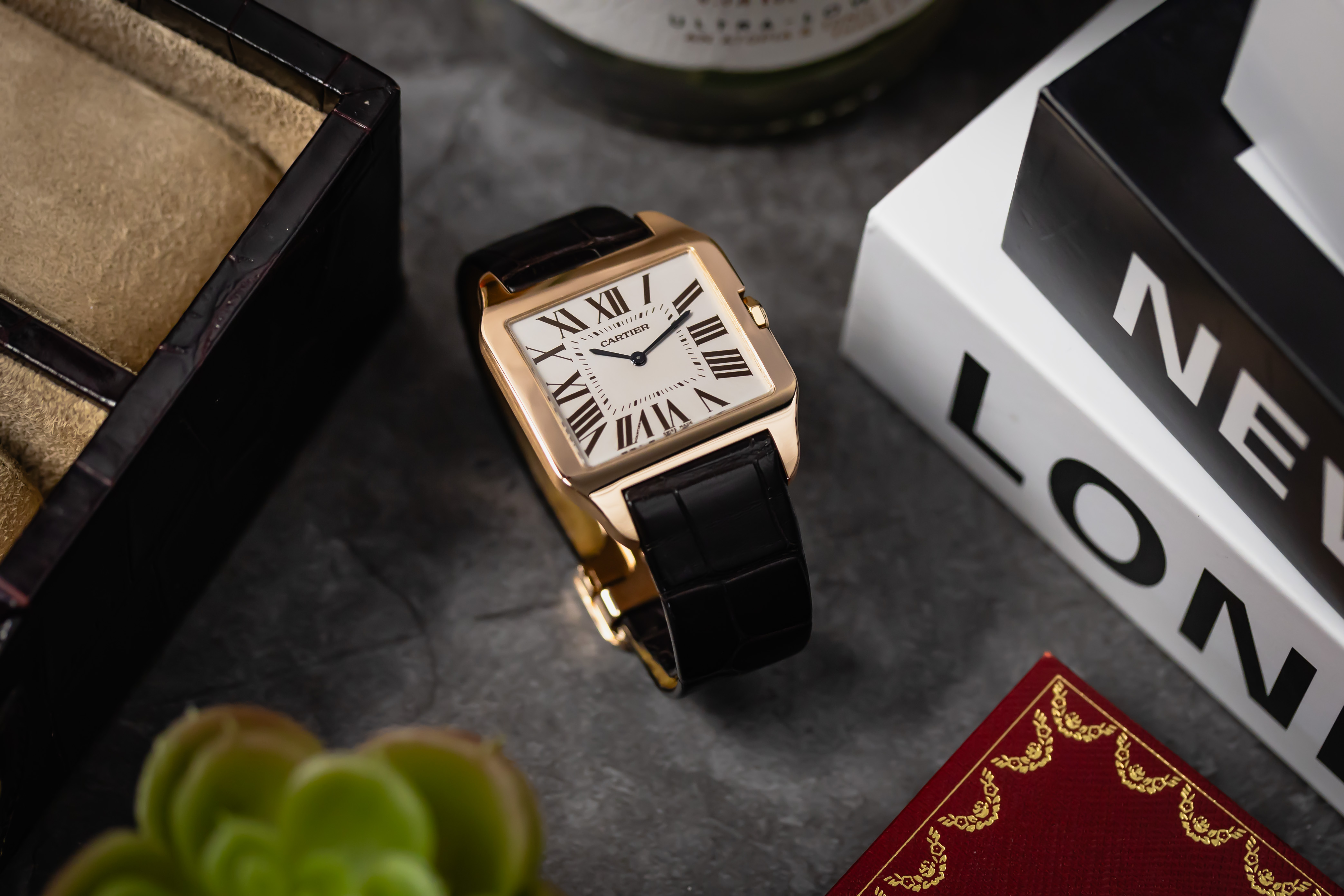 Cartier Santos Dumont W2006951 Thumbnail 6