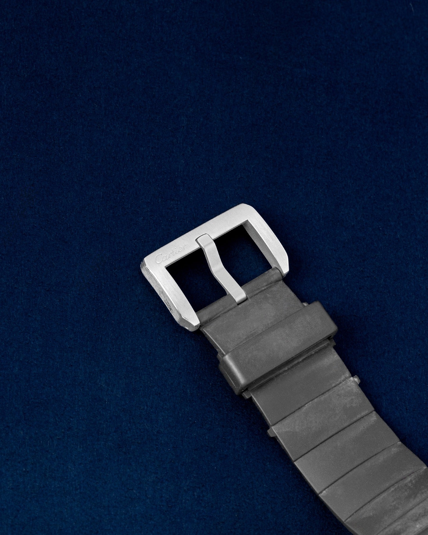 Cartier Santos 100 W20121U2 Thumbnail 3