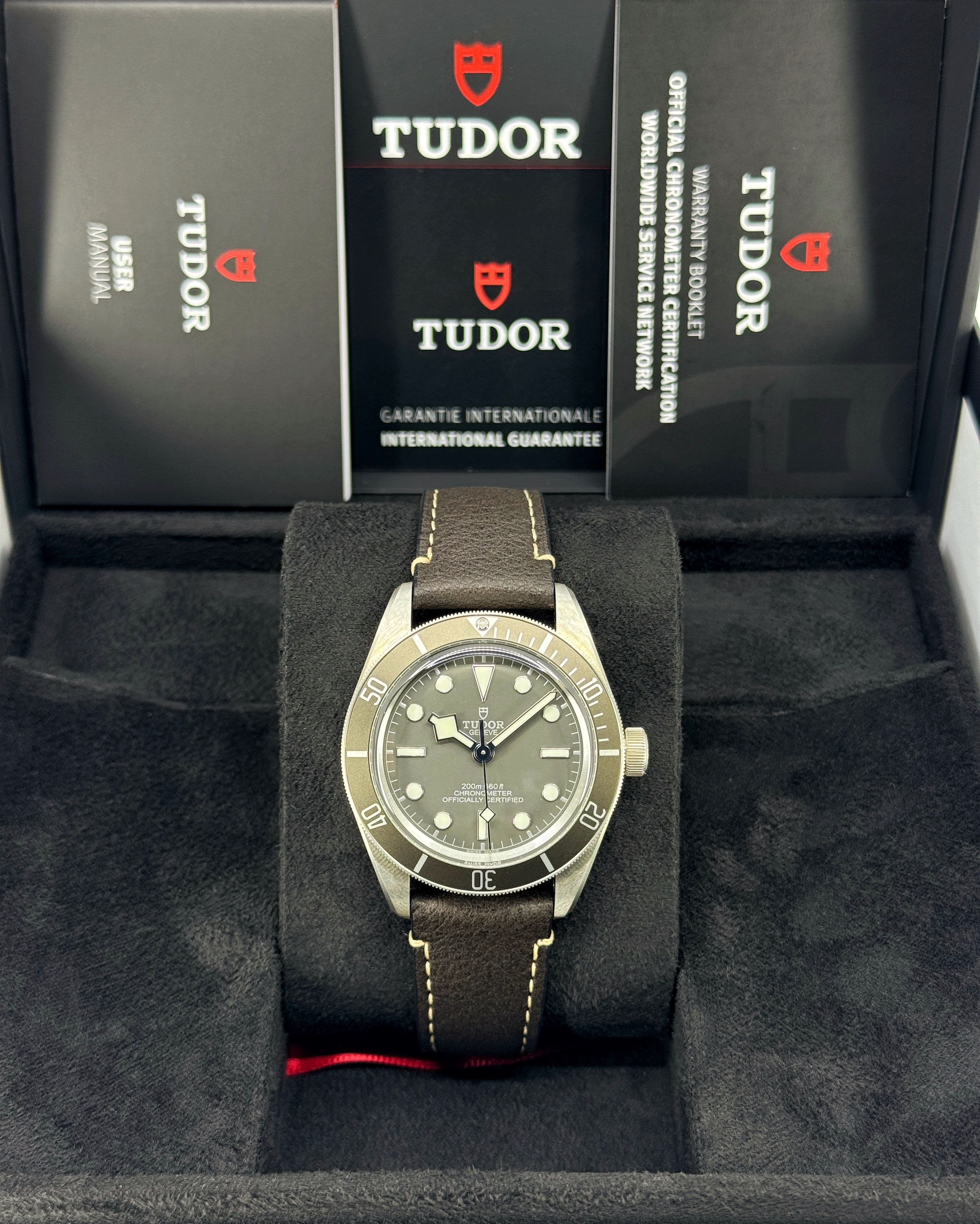 Tudor Black Bay 58 M79010SG-0001 Thumbnail 7