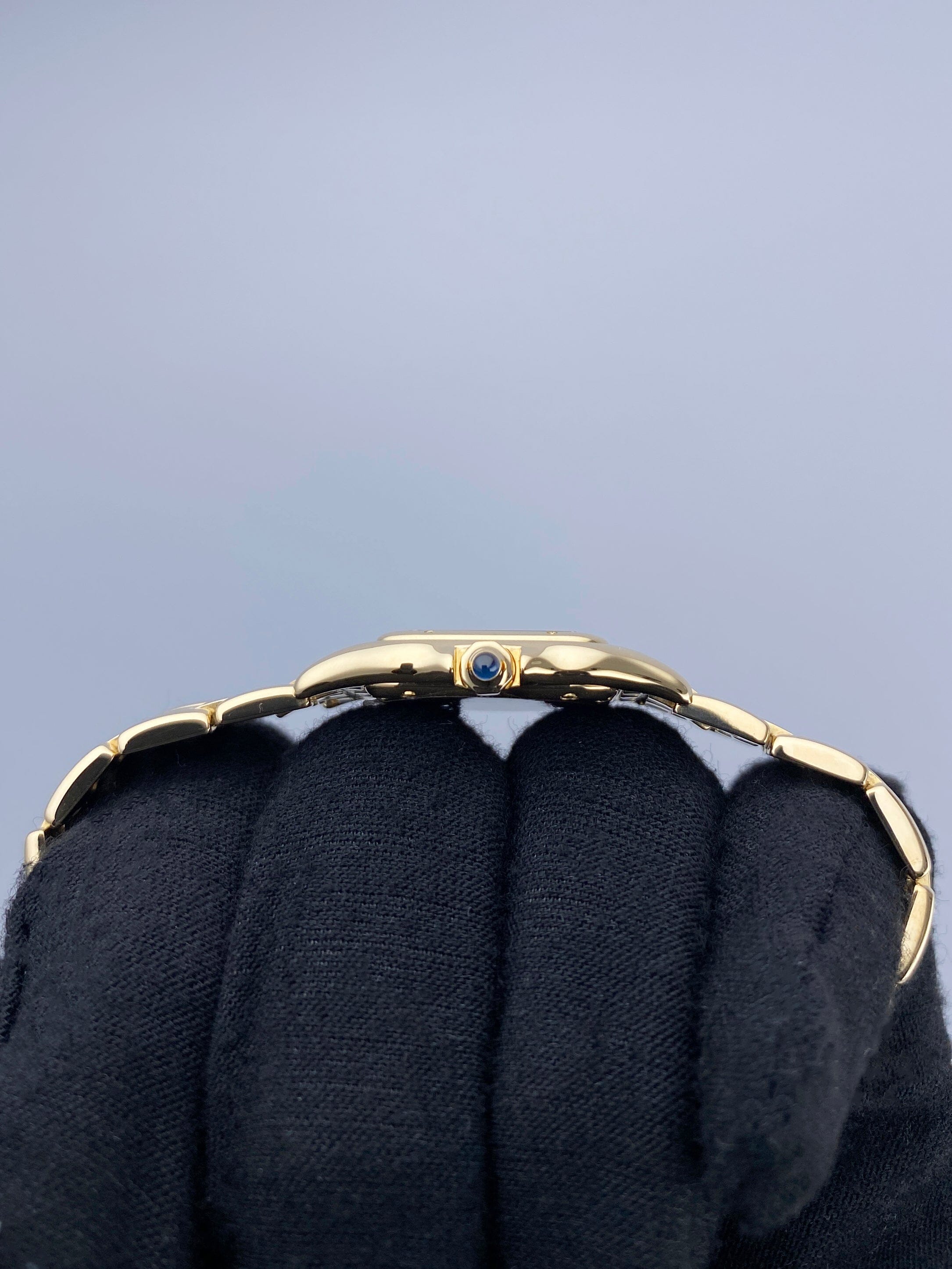 Cartier Panthere De Cartier WGPN0009 Thumbnail 4