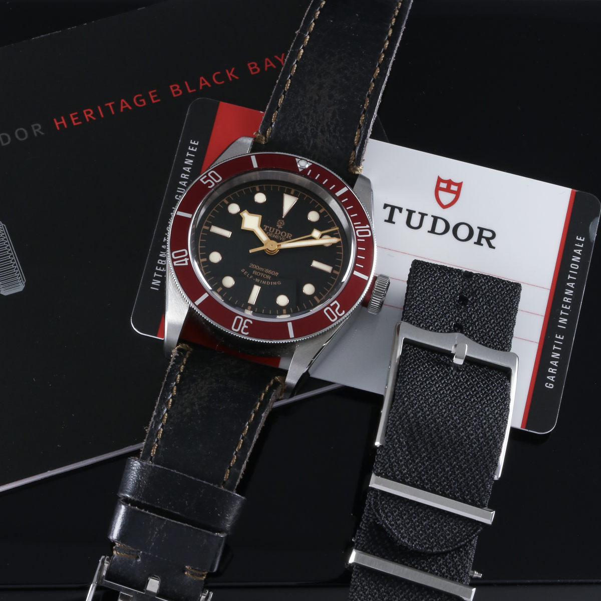 Tudor Heritage Black Bay 79220R Thumbnail 6